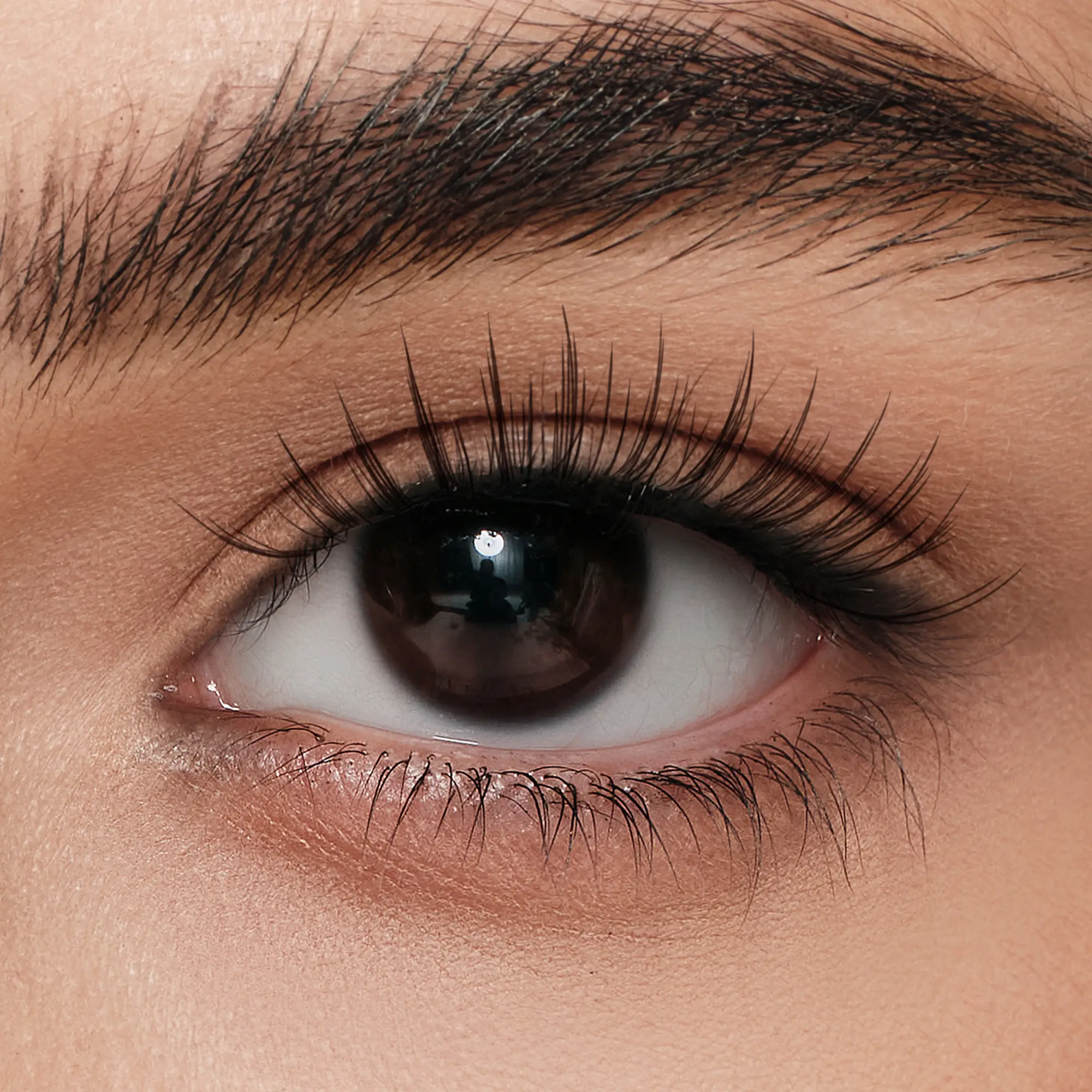 Glossy Black – Wispy Beach Lashes - Image 2