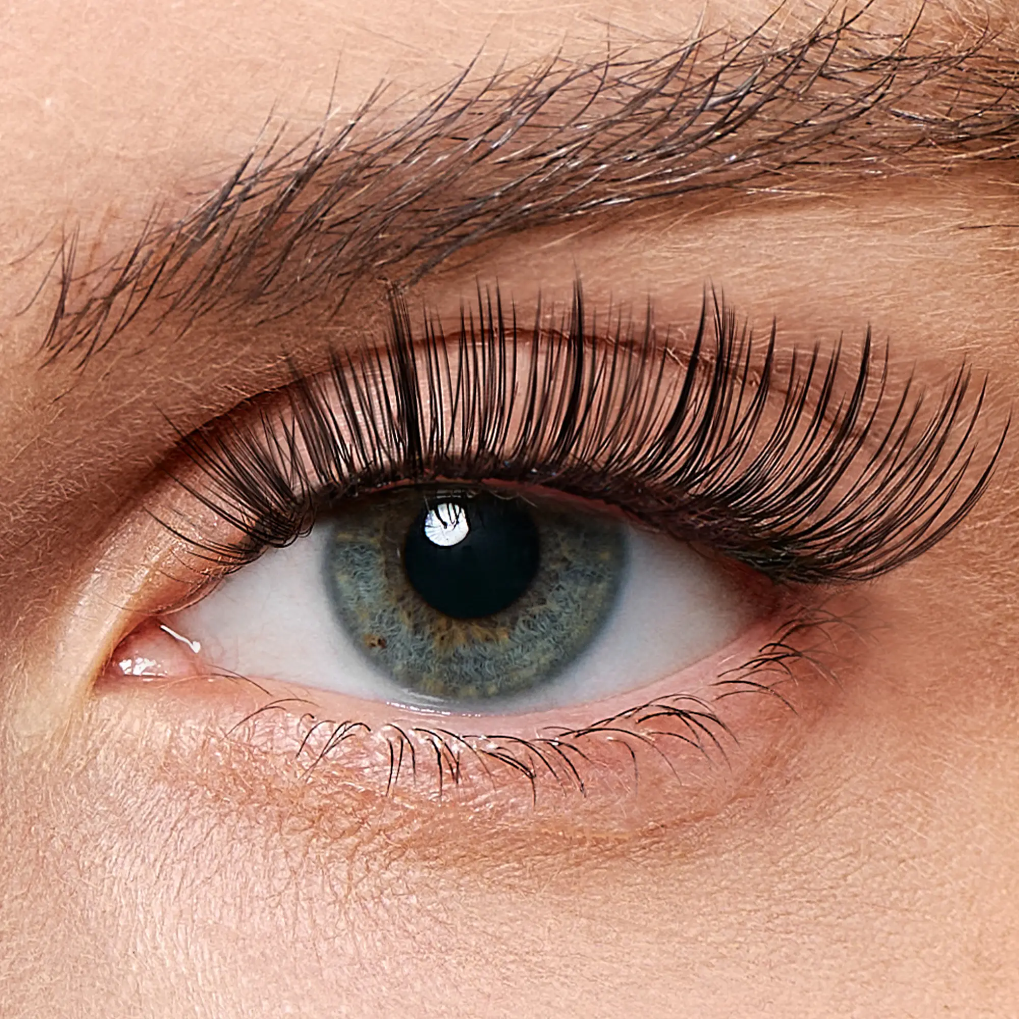 Luxe Black –Golden Hour Lashes - Image 2