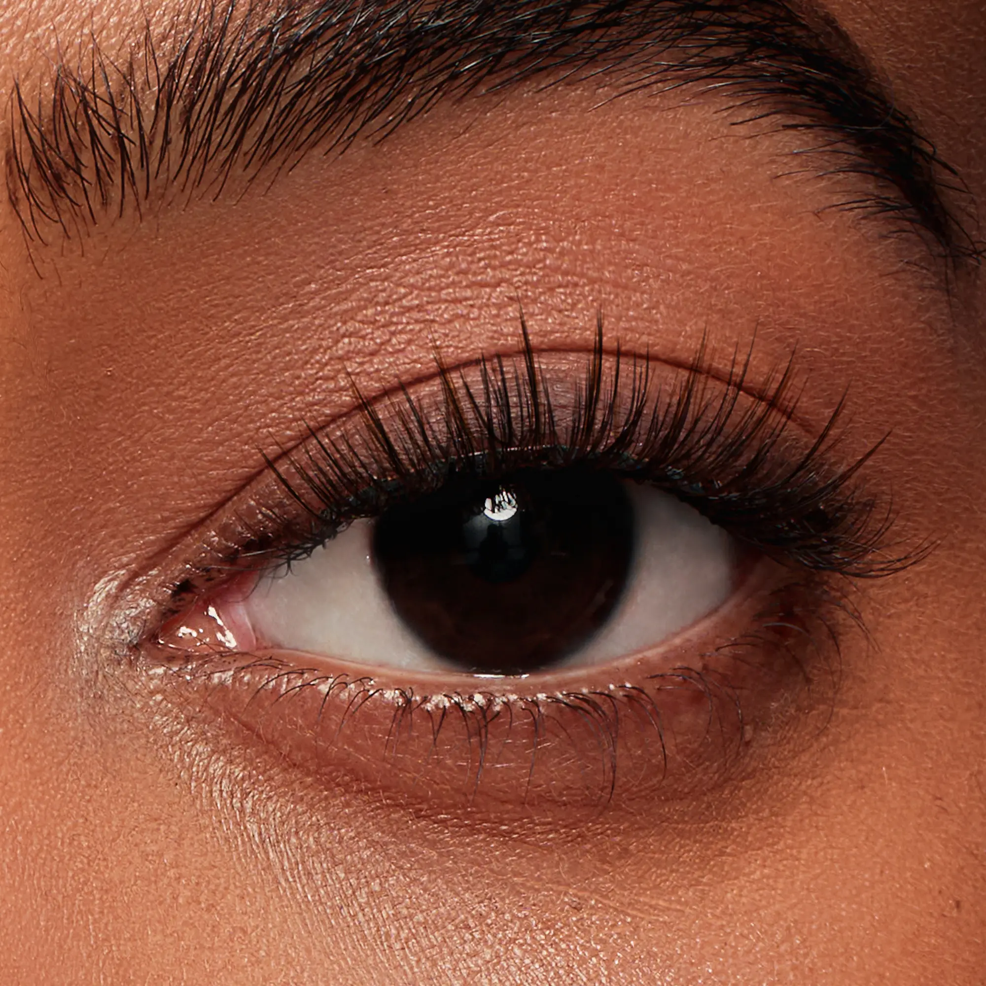 NO.4+ Sunset Brown 2.0 Plus – Sunset Glow Lashes - Image 2